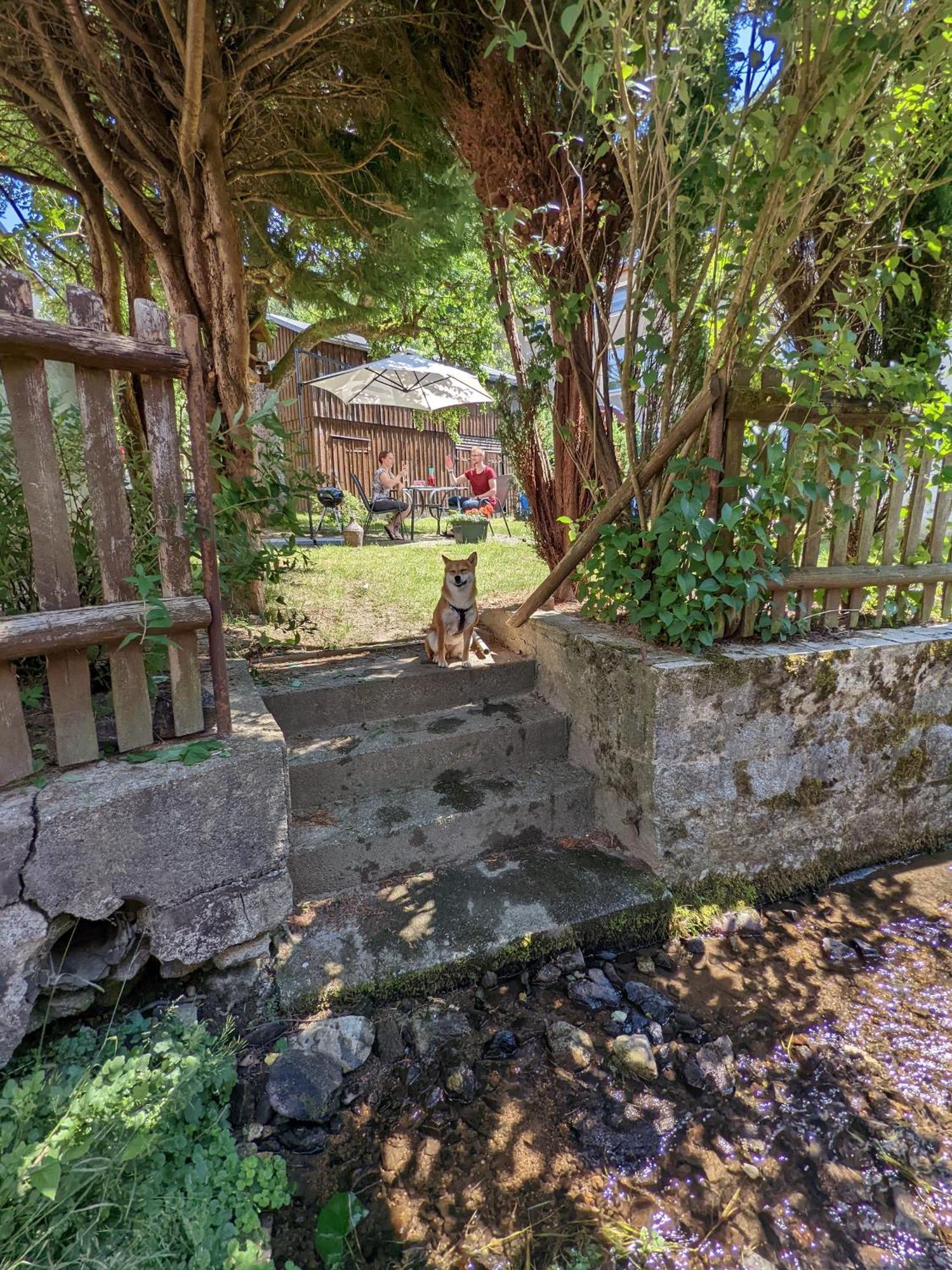 H2 - Urlaubsmagie - Garten, Pool, Terrasse, Grill Sebnitz Εξωτερικό φωτογραφία